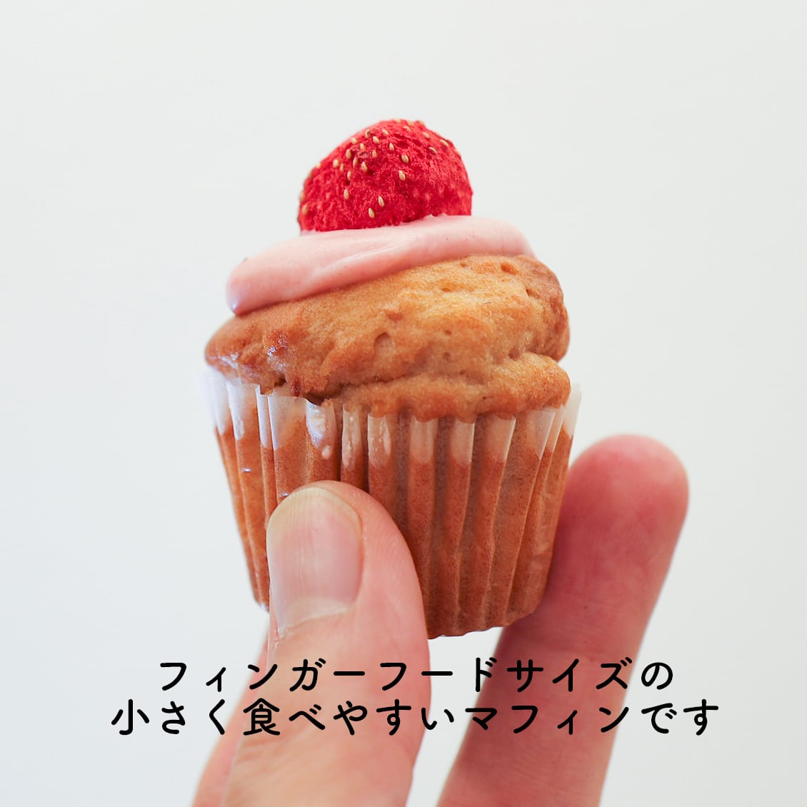 冷凍品】お配りマフィン 【クール便のみの発送】 | HATIS COFFEE（ハ