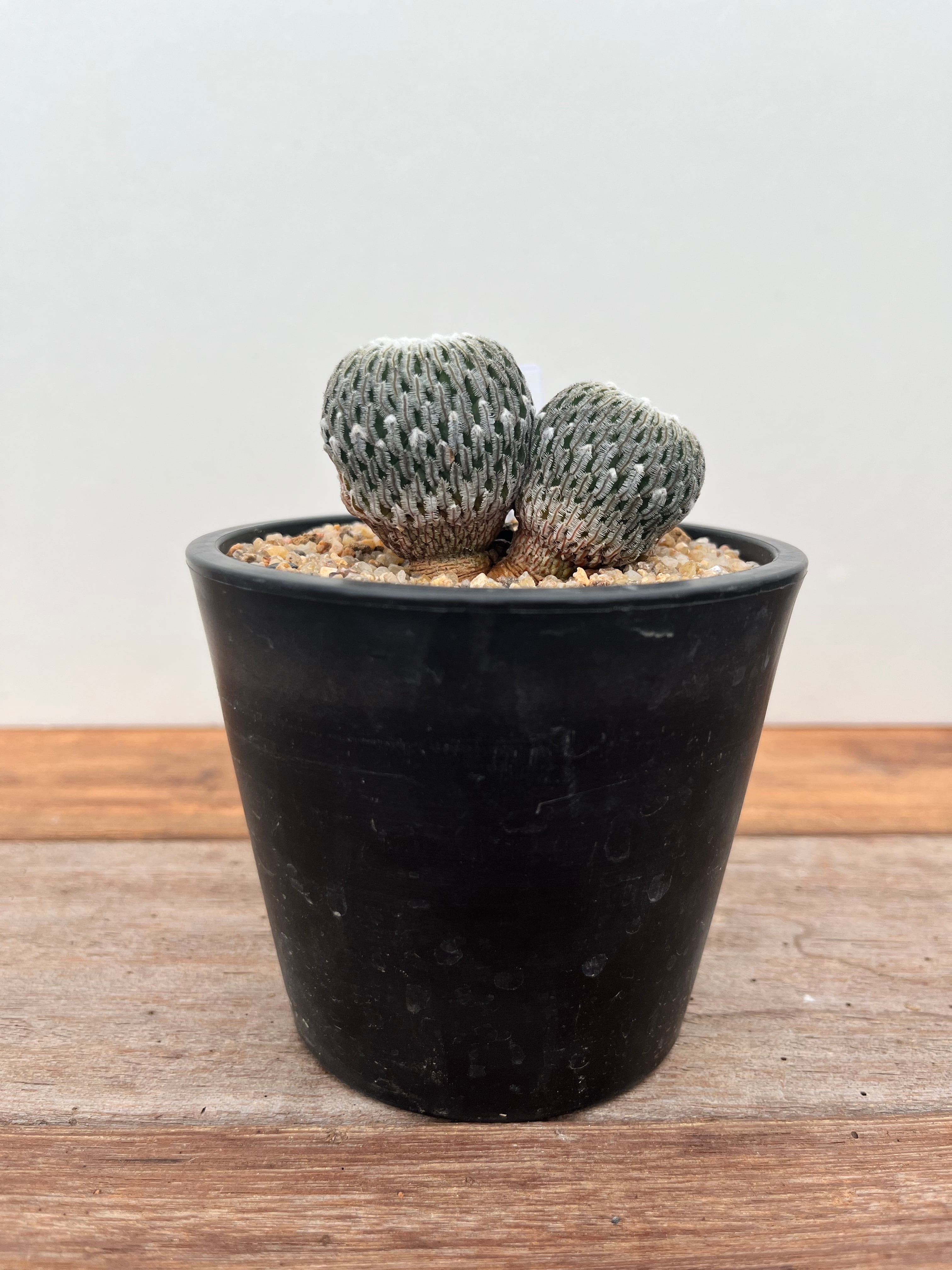 5da097c53305e272c56d05da716769