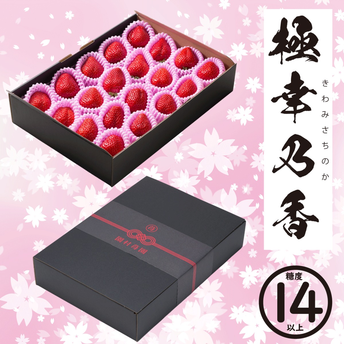 5da11c8b2d02062b9eda37f54e9607