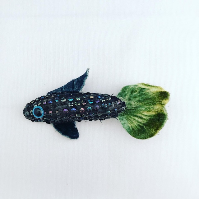 mini fish