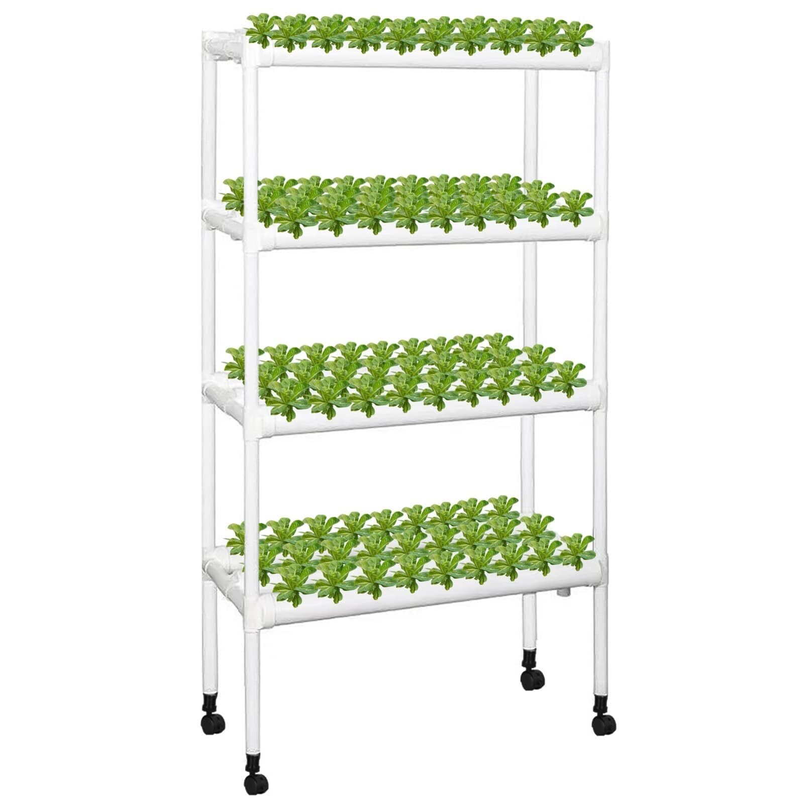 数量限定】水耕栽培キット 室内水耕栽培 すいこう栽培キット 野菜 栽培
