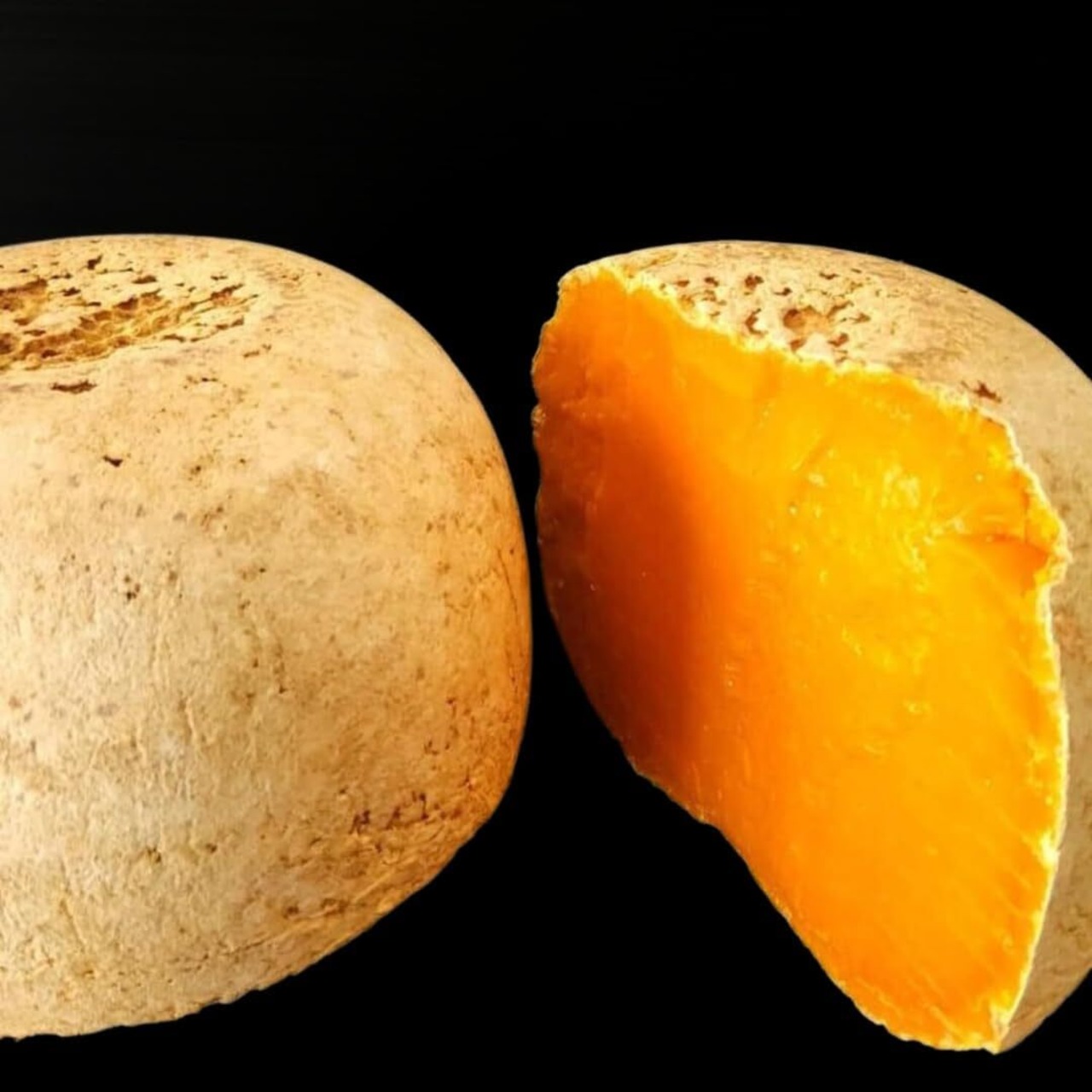 フランス産 グラスフェッド ミモレット 18ヶ月熟成 1kg 業務用｜切りたてハードチーズ French Grass-Fed Mimolette 18 Months Aged 1kg | Whole & Bulk
