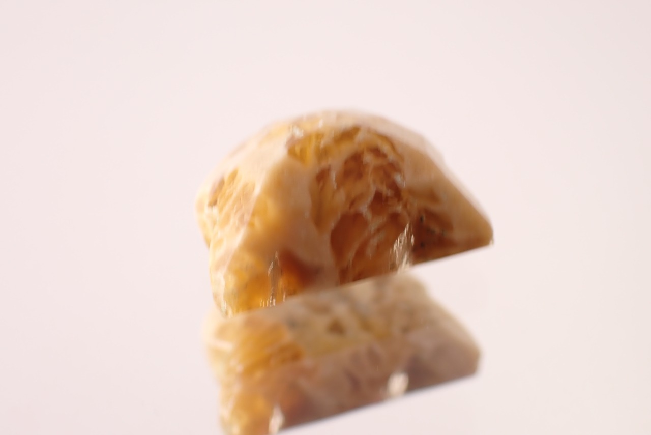 フォッシルコーラル(猫カット)　1.53ct　[D11‐531]