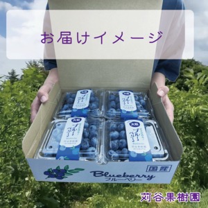 【2026.7.1以降順次発送】【3L以上】大粒ブルーベリー約１kg《125g×8パック入》