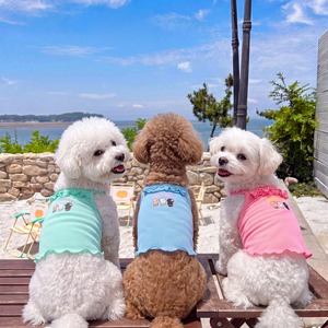 Dog/予約【hi with】HULA HULA Couple Look (3color)