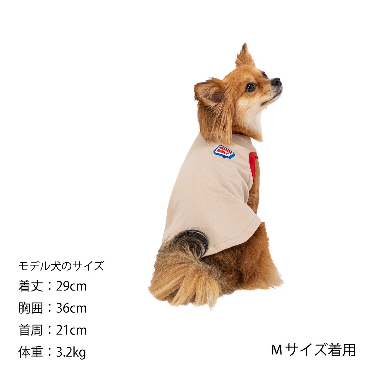 RINGER T-SHIRT（M,MD,L） リンガーTシャツ | MANDARINE