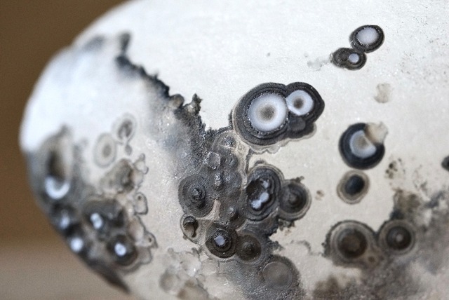 ゴビアゲート Gobi Desert Eye Agate 523