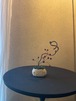 27 軽石枝アレンジ