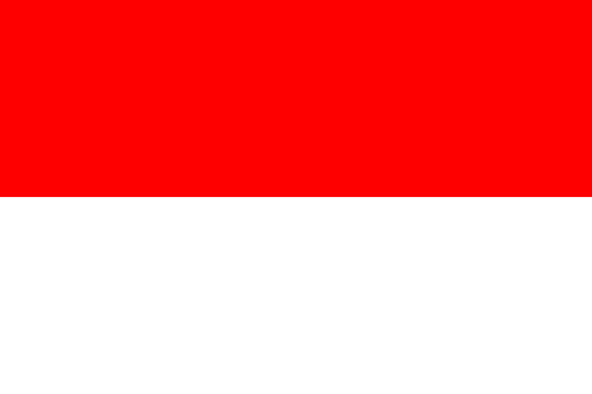 Indonesia Toraja 　Ariosto Karosi G-1 インドネシア／トラジャ　アリオスト　カロシ　G-1 (豆のまま）