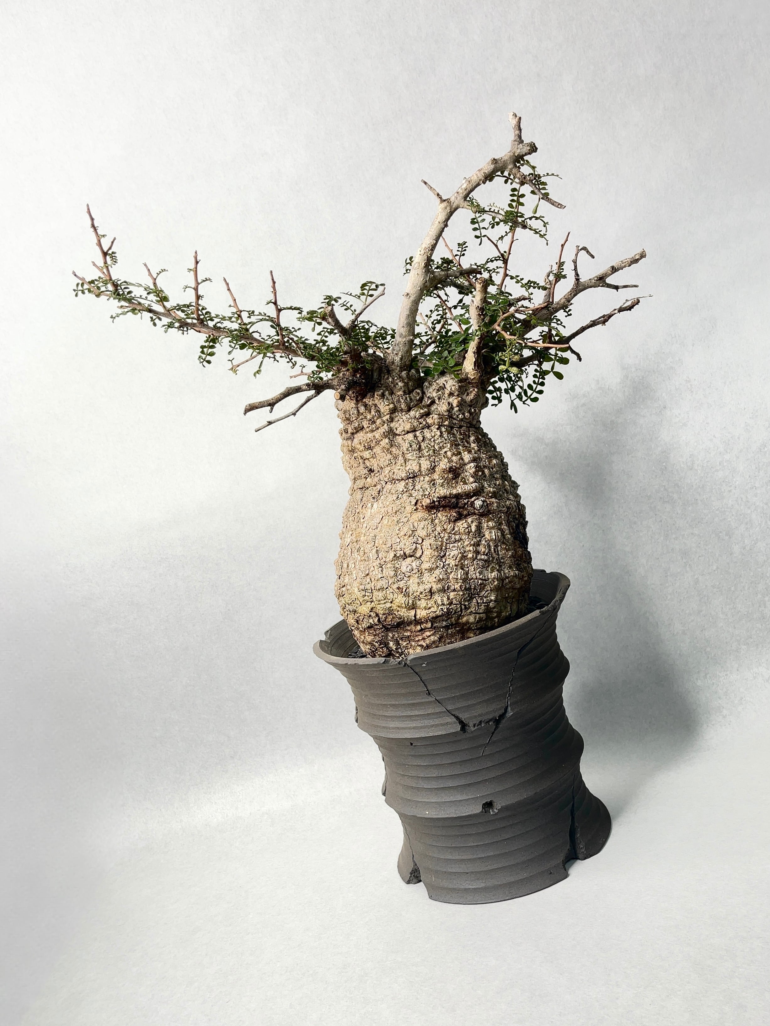 5db19812b10d6f41b2f71f1f08d48f