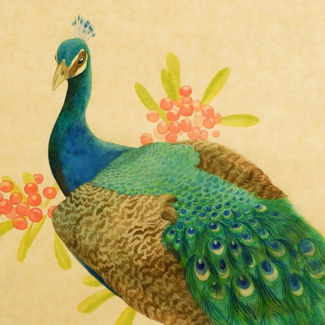 額付き】原画『孔雀』透明水彩画 | Pay ID