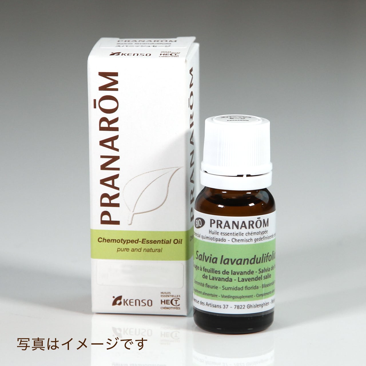 新作販売 PRANAROM ヒマラヤスギ 10ml プラナロム 精油
