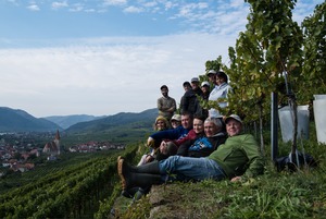 新VT【プラーガー】グリューナー・フェルトリーナー・ヒンター・デル・ブルグ フェーダーシュピール　2023