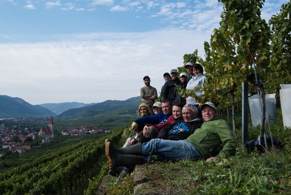 新VT【プラーガー】グリューナー・フェルトリーナー・ヒンター・デル・ブルグ フェーダーシュピール　2023