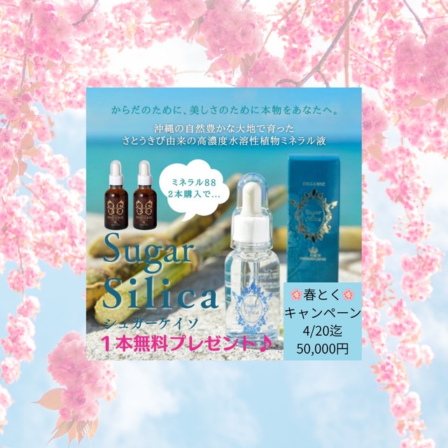 4/20迄【春とくキャンペーン】88ミネラル シリカ(50mL)2本＋シュガーケイソ1本無料プレゼント