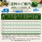 口福極プリン12個入り（抹茶・ほうじ茶各6個）のセット贈呈用袋付き（送料別）