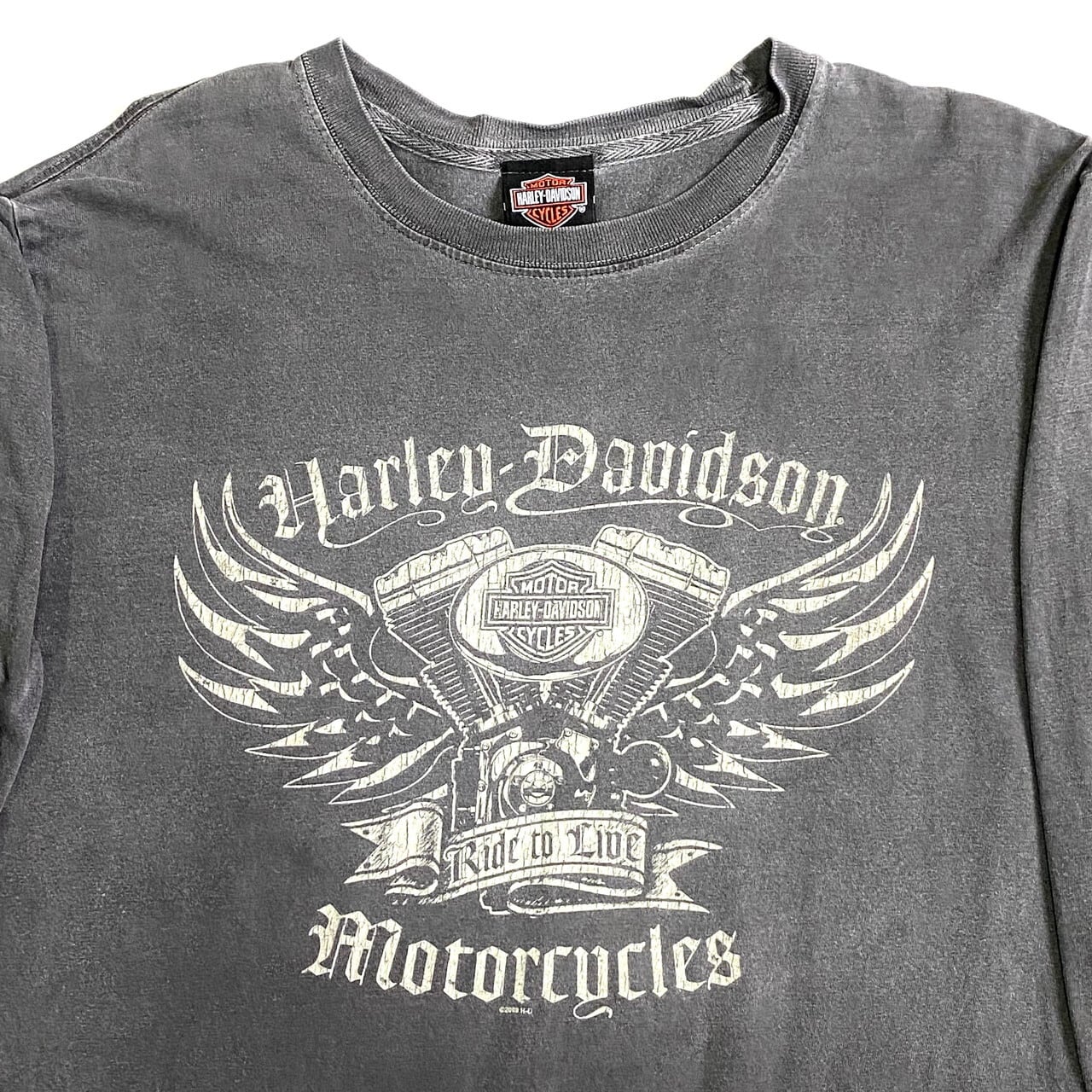 ハーレーダビッドソン Harley-Davidson 両面プリント 袖プリント ...
