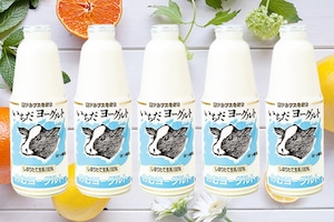 【配達日指定便★お得★】飲むヨーグルト「いちだヨーグルト」900ml×5本（自家用E-51）全6ヶ月