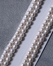 泡沫の目覚め　-Nemophila-