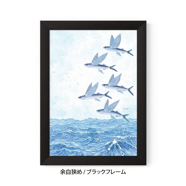 A5｜魚翔海図（ぎょしょうかいず）（フレームあり）