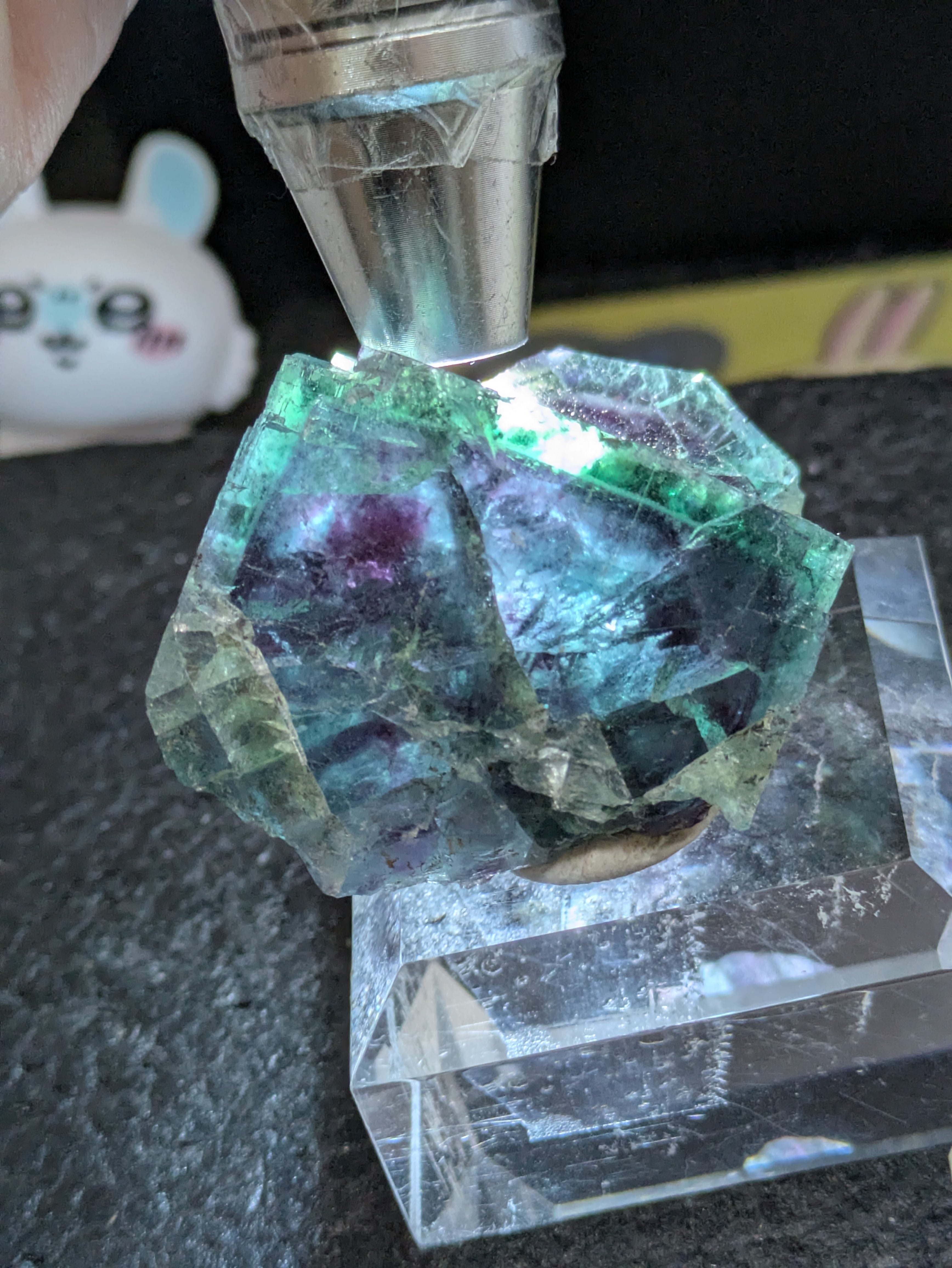TheLastPocket】オコルス鉱山 フローライト 蛍石 原石 鉱物 標本