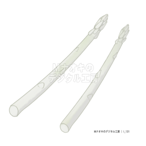 ホワイトアスパラガス　white asparagus