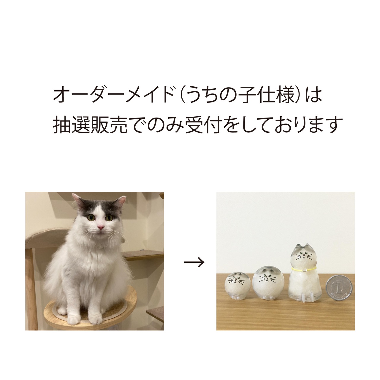 オーダーメイド（うちの子仕様）抽選販売概要について | うちの子のけ 