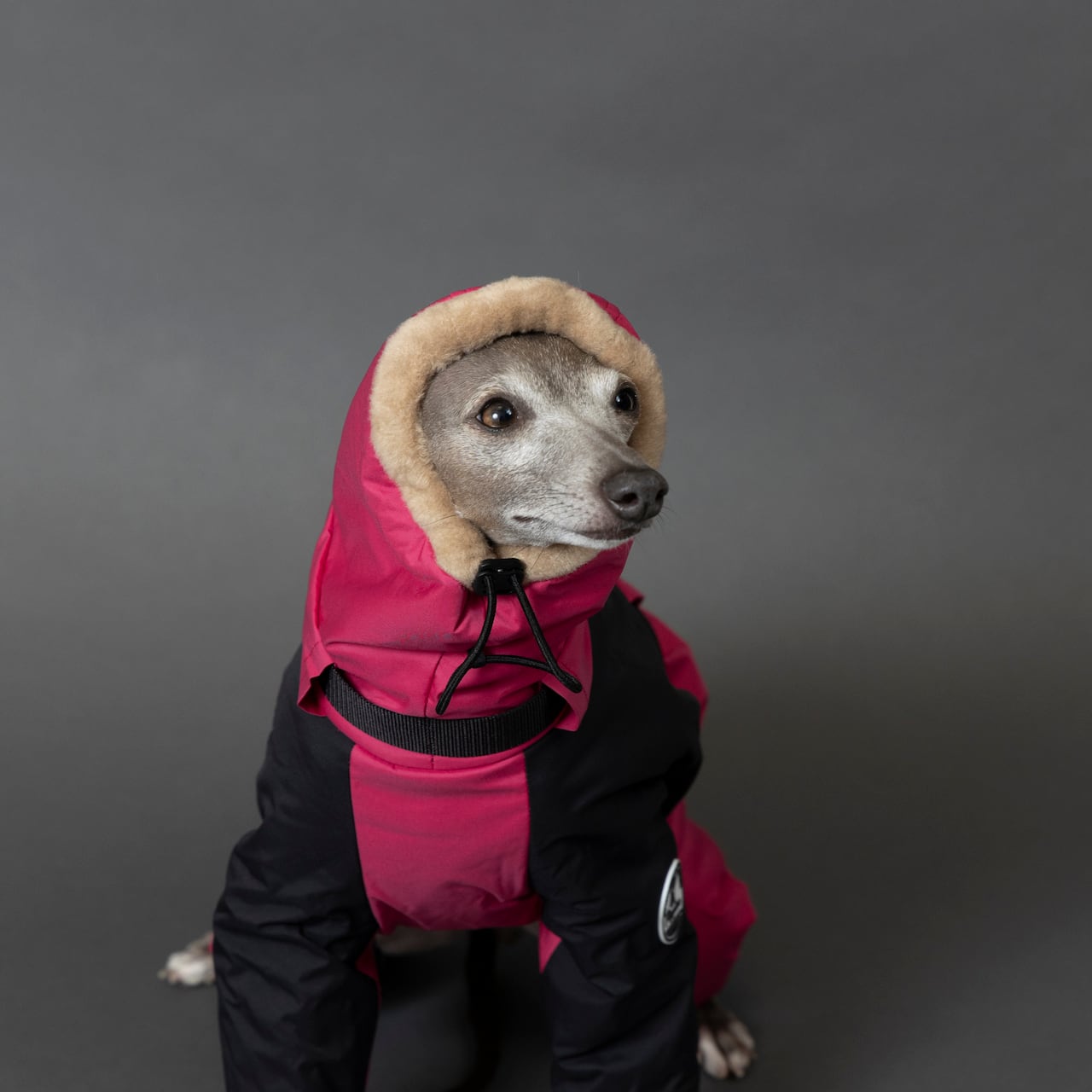 ボンバーヒートジャケット2024 rose × black / イタグレ服 | イタグレ