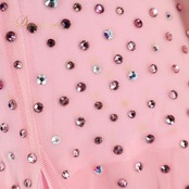 社交ダンス 衣装 チャコット Chacott スタンダードドレス ドレス ワンピース スタンダード ピンク フロート レース フリル デモ 競技 ダンス パーティ 発表会 日本製 ピンク系 かわいい 女性らしい フォーマル スカート揺れる おしゃれ パーティー衣装 社交ダンス用 競技用コスチューム