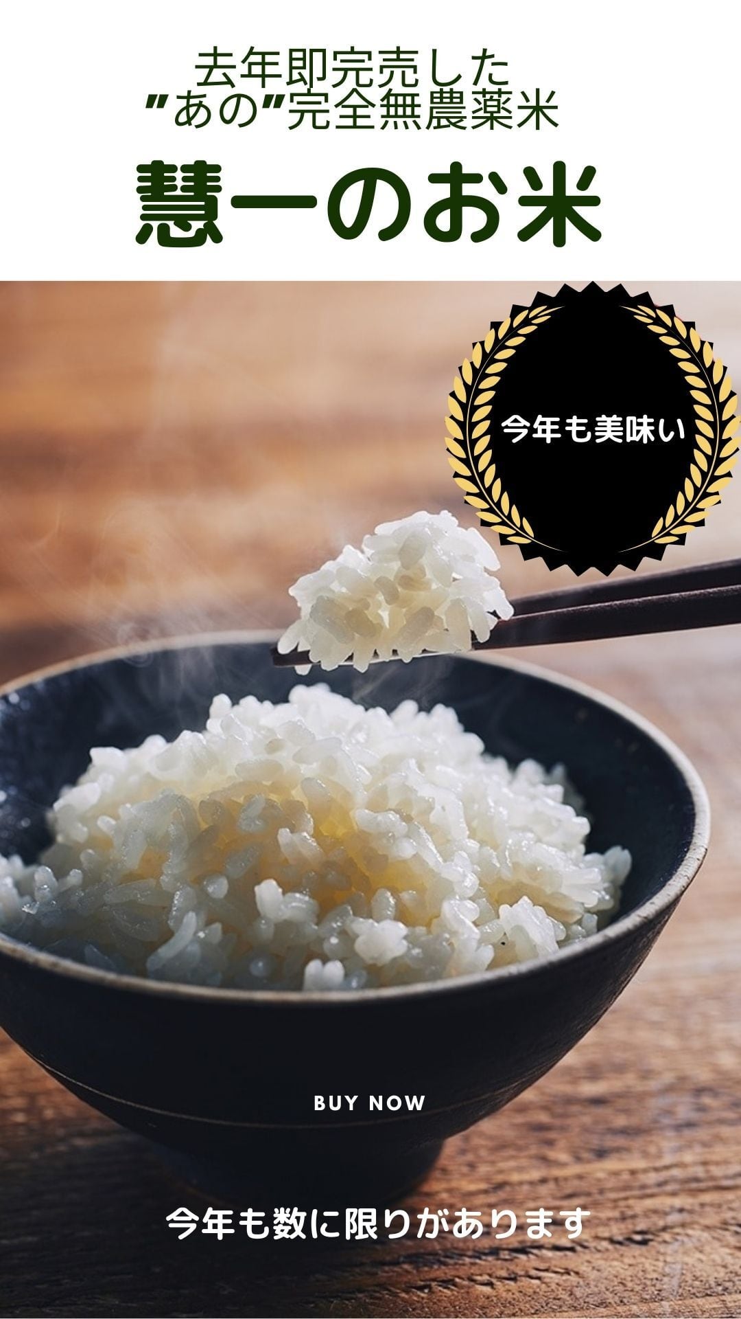 しっかり試したい人向け！ 単発購入【慧一之水 6L＋Waka－ga－El極30日