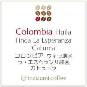 【送料込】コロンビア ウィラ地区 ラ・エスペランサ農園 カトゥーラ - Colombia Huila Finca La Esperanza Caturra - 300g(100g×3)