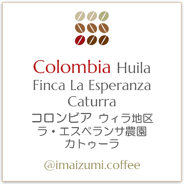 【送料込】コロンビア ウィラ地区 ラ・エスペランサ農園 カトゥーラ - Colombia Huila Finca La Esperanza Caturra - 300g(100g×3)