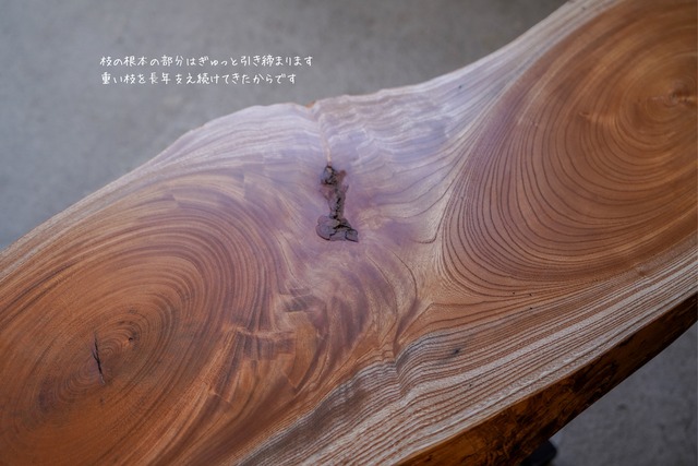欅の輪切り 一枚板 ローテーブル　リビングテーブル