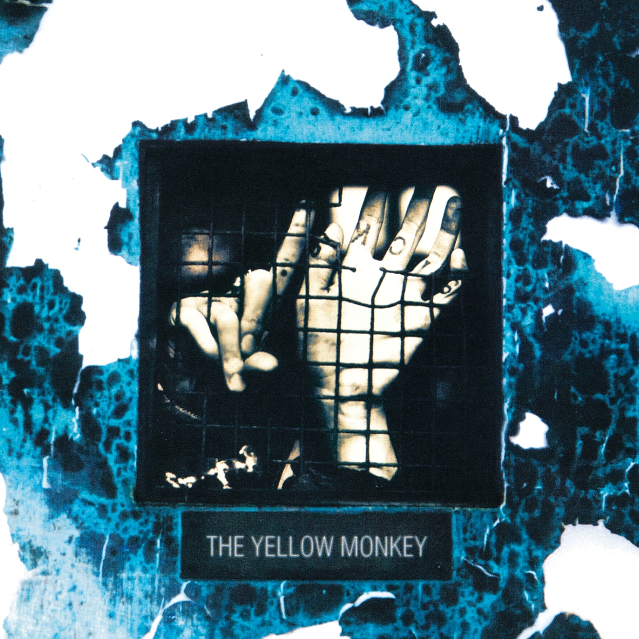 【完全限定生産盤】THE YELLOW MONKEY「SICKS」アナログ盤（12インチ2枚組）