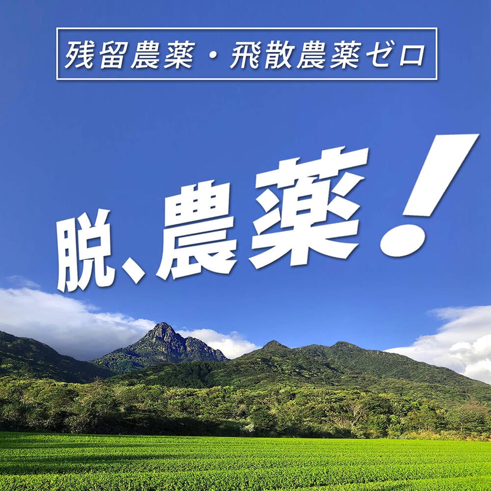 有機】粉末緑茶二番茶 120g×5袋《 私たちが作った”屋久島自然栽培茶