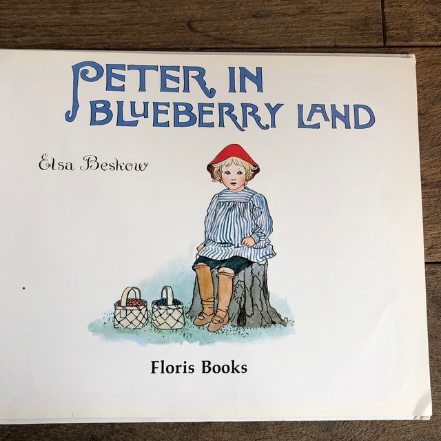 PETER IN BLUEBERRY LAND