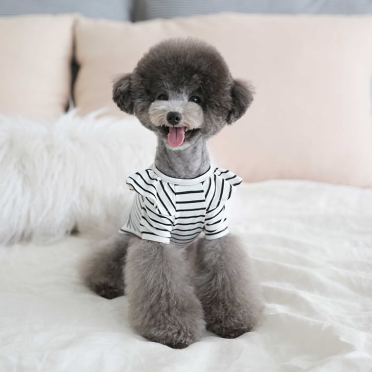 willy stripe t-shirt S ~ XL 2color / 犬服 フリル ボーダー Tシャツ ブラウス ドッグウェア シンプル トップス お出かけ ストライプ 長袖