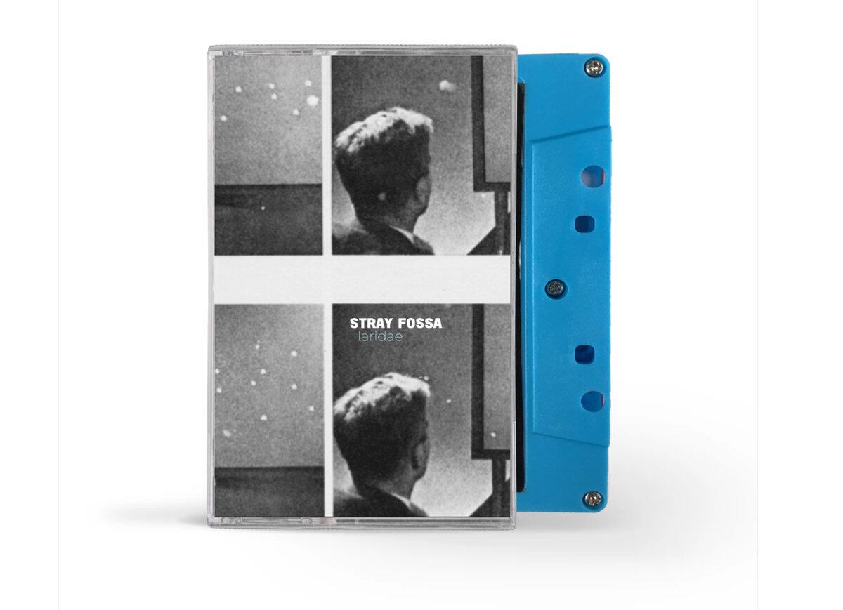 Stray Fossa / Laridae（50 Ltd Cassette）