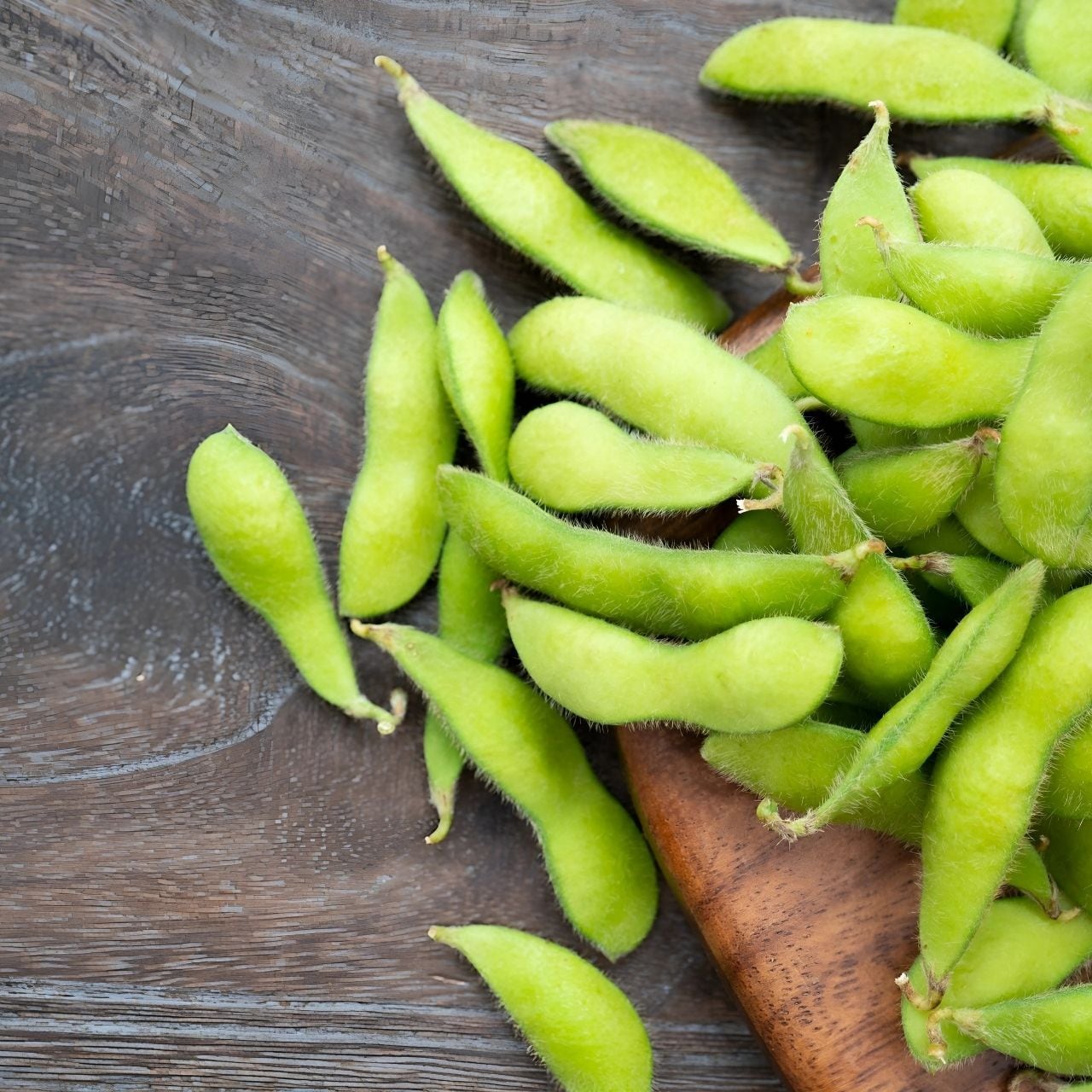 業務用 枝豆 激安 5kg 新潟県阿賀野産 訳あり 送料無料 | 新潟 夢