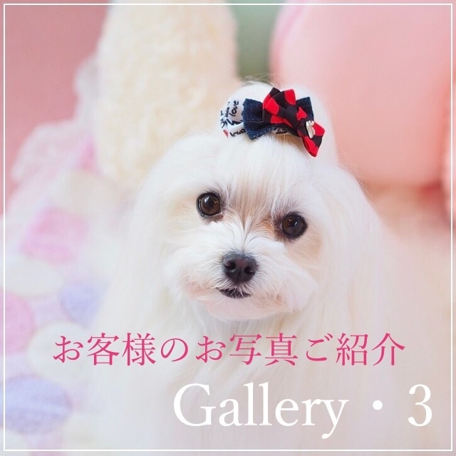 ＊Gallery・3＊