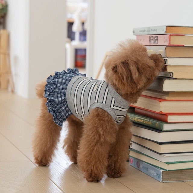 【予約】[EOMUKMARKET] トミーストライプラッフルops（グレー）