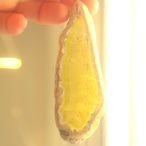 Vivid Rainbow 35 - アゲートヒーリングチャイム / Agate Healing Chime 1465