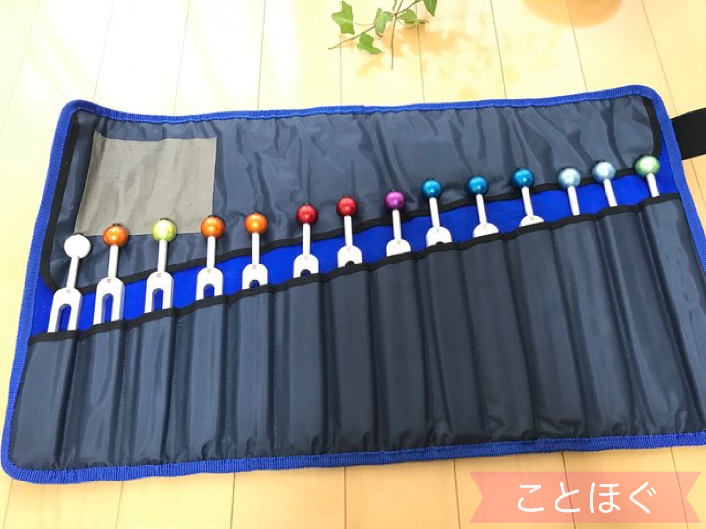 アプライドフィジオロジー 経絡音叉