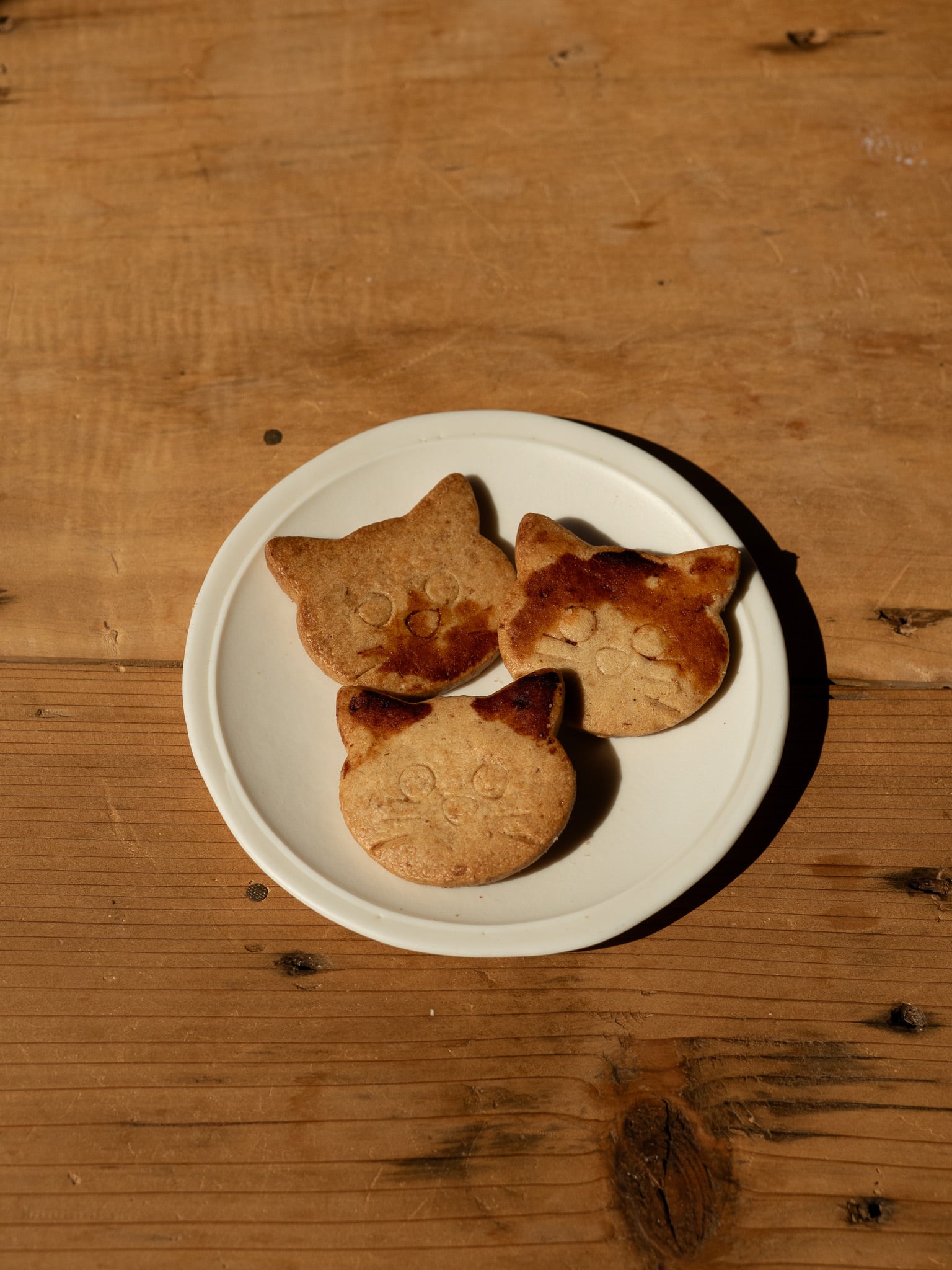 カツオ】しょうゆとかつお節のネコクッキー | YOYO