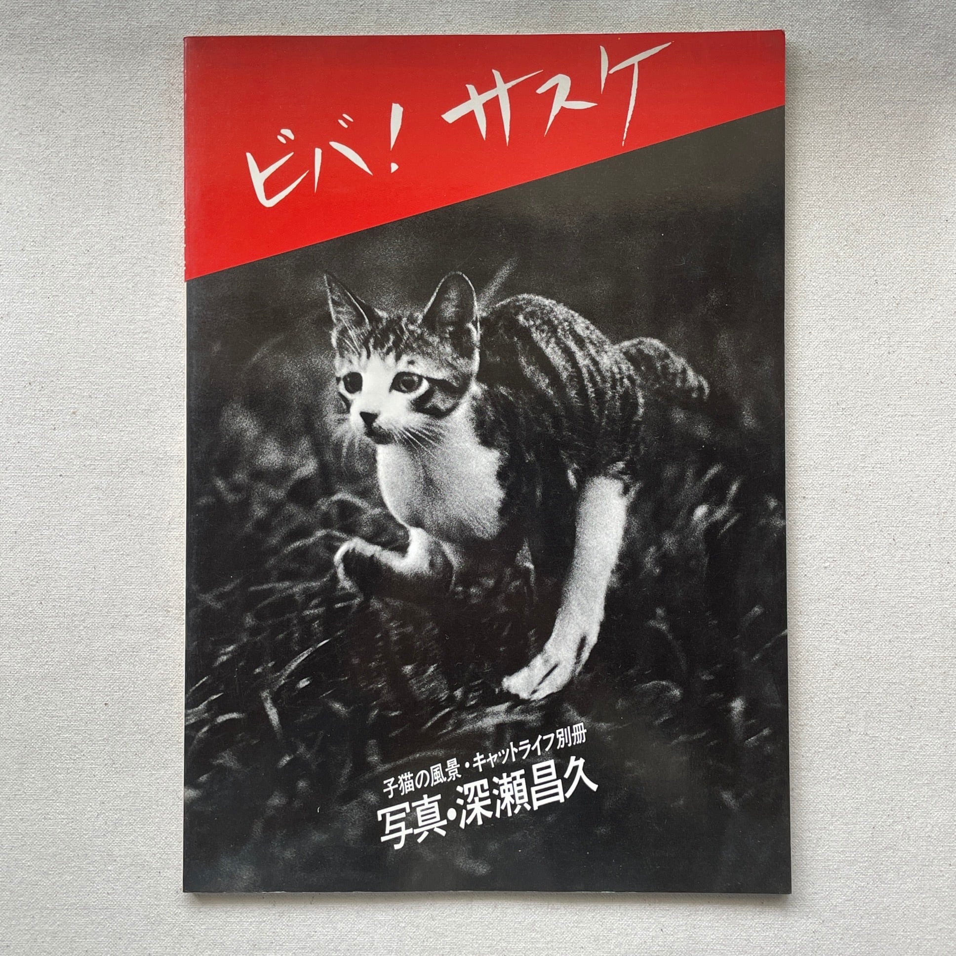 Kobe 1995:The Earthquake Revisited | 宮本隆司 | 汀線 / TEISEN BOOKS