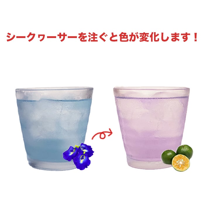 バタフライピーティー 仲善 | なんじぃ商店（沖縄県南城市）