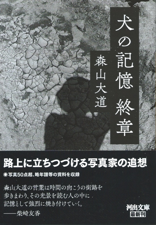 犬の記憶 終章