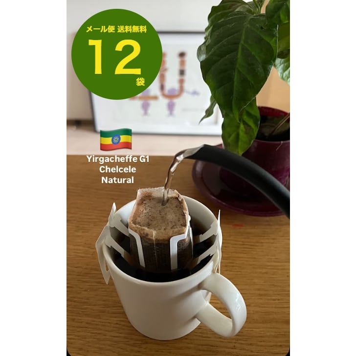 エチオピア | 8coffeeroast