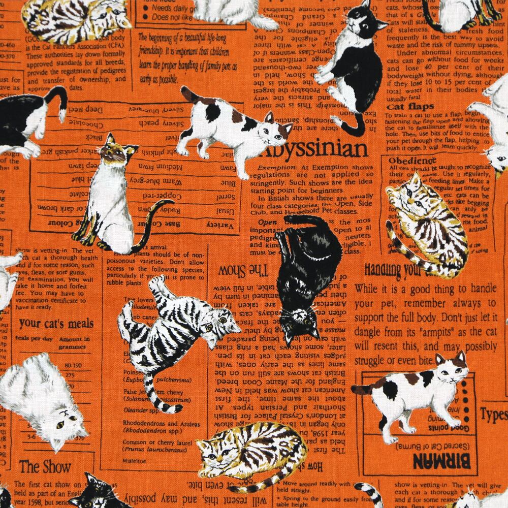 猫ナプキンバンダナ 猫新聞 茶 マスノヤ衣料品店 マスノヤ猫雑貨店 猫ナプキンバンダナ 猫新聞 茶 マスノヤ衣料品店 マスノヤ猫雑貨店