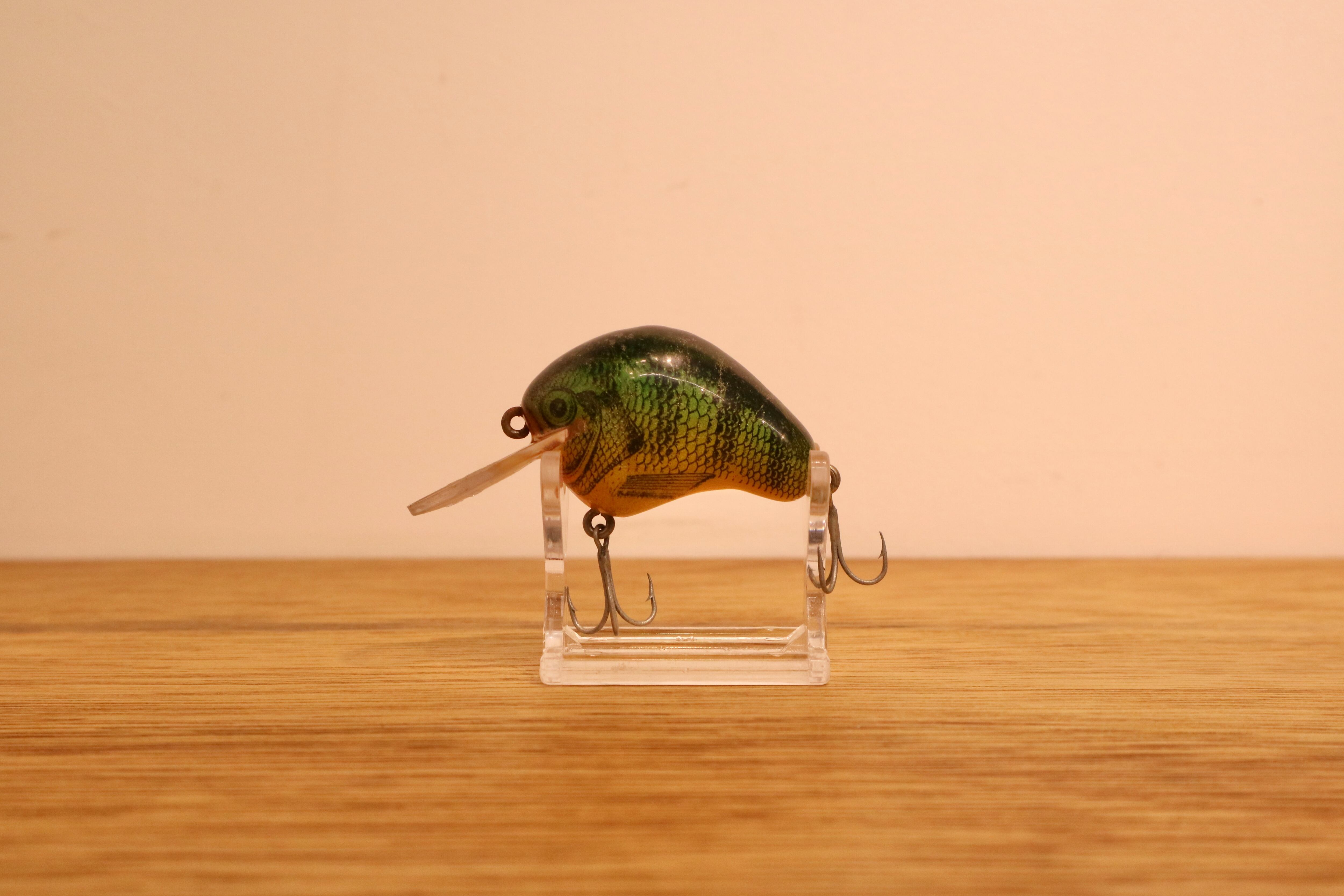 CORMORAN (コーモラン) / サーフブリーム